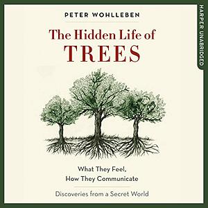 The Hidden Life of Trees: What They Feel, How They Communicate—Discoveries from a Secret World by Mike Grady, Peter Wohlleben