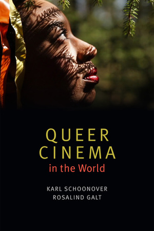 Queer Cinema in the World by Karl Schoonover, Rosalind Galt