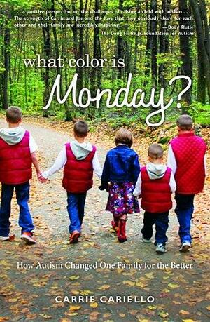 What Color is Monday? How Autism Changed One Family for the Better by Carrie Cariello