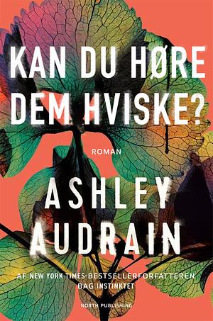 Kan du høre dem hviske? by Ashley Audrain