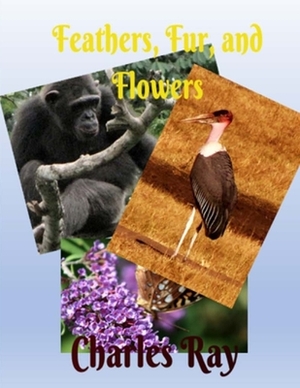 Feathers, Fur, and Flowers by Charles Ray