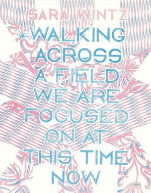Walking Across a Field We Are Focused on at This Time Now by Sara Wintz