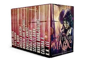 Wayward Magic: Boxed Set by K.N. Lee, K.N. Lee
