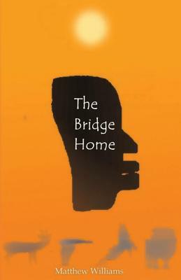 The Bridge Home by Matthew Williams