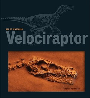 Velociraptor by Sheryl Peterson