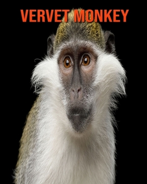 Vervet Monkey: Learn About Vervet Monkey and Enjoy Colorful Pictures by Matilda Leo