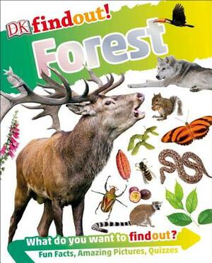 Dkfindout! Forest by D.K. Publishing