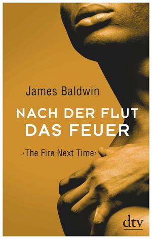 Nach der Flut das Feuer: The Fire Next Time by James Baldwin