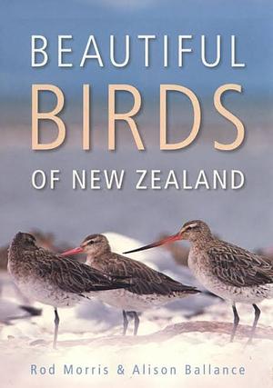 Beautiful Birds of New Zealand by Alison Ballance