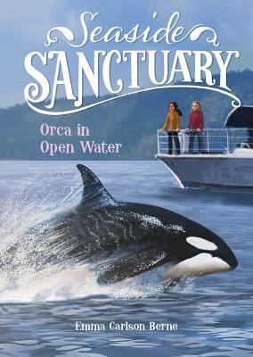 Orca in Open Water by Emma Bernay, Emma Carlson Berne