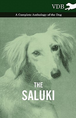 The Saluki - A Complete Anthology of the Dog by Various