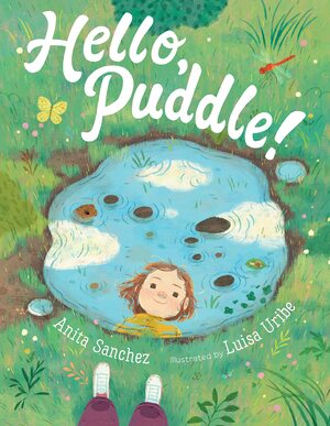 Hello, Puddle! by Anita Sanchez, Luisa Uribe