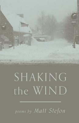 Shaking the Wind by Matt Stefon