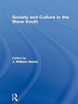Society and Culture in the Slave South by 