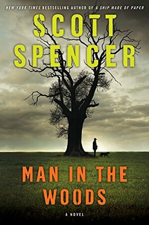 Man in the Woods by Scott Spencer