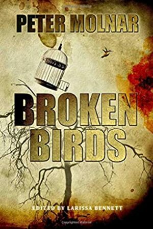 Broken Birds by Lisa Vasquez, Péter Molnár