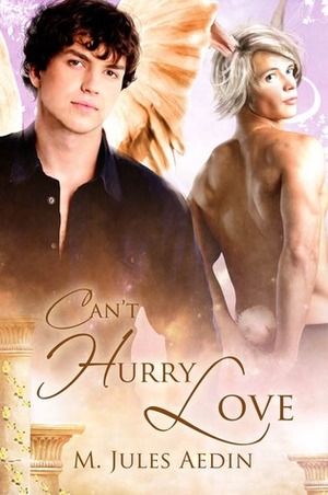 Can't Hurry Love by M. Jules Aedin