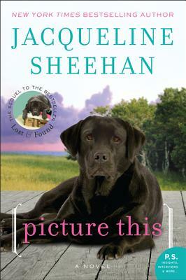 Picture This by Jacqueline Sheehan