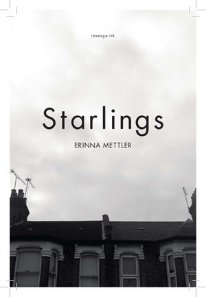 Starlings by Erinna Mettler