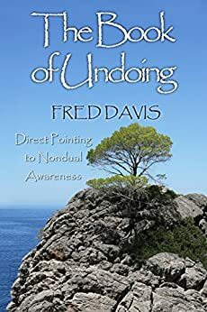 The Book of Undoing by Fred Davis