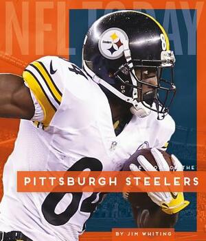 Pittsburgh Steelers by Jim Whiting