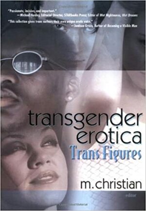 Transgender Erotica: Trans Figures by M. Christian