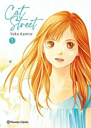 Cat street #1 by Yōko Kamio