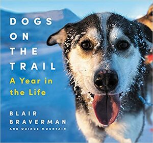 Dogs on the Trail: A Year in the Life by Blair Braverman, Quince Mountain