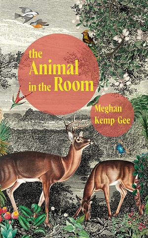 Animal in the Room by Meghan Kemp-Gee