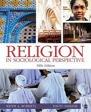 Religion in Sociological Perspective by Keith A. Roberts