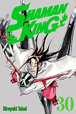 Shaman King, Vol. 30 by Hiroyuki Takei
