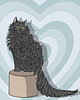 meriscorner's profile picture