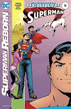 Superman (2016-) #18 by Patrick Gleason, Mick Gray, Peter J. Tomasi, John Kalisz
