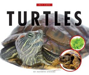 Turtles by Kathryn Stevens