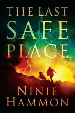 The Last Safe Place by Ninie Hammon