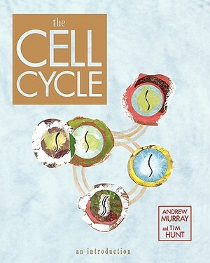 The Cell Cycle: An Introduction by Andrew Murray, Tim Hunt