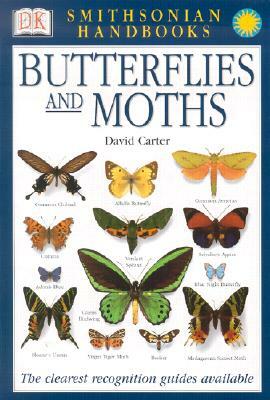 Handbooks: Butterflies & Moths: The Clearest Recognition Guide Available by David Carter