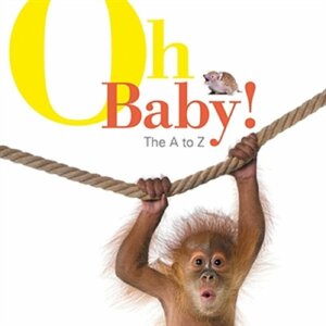 Oh Baby!: The A to Z by Kane Miller, Various