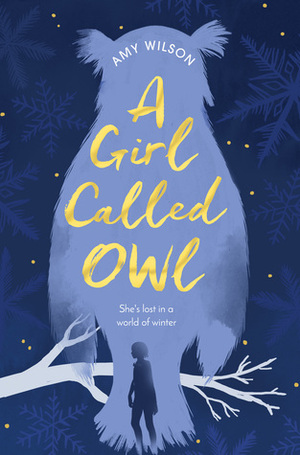 A Girl Called Owl by Amy Wilson