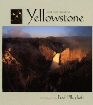 Yellowstone Wild and Beautiful by Fred Pflughoft