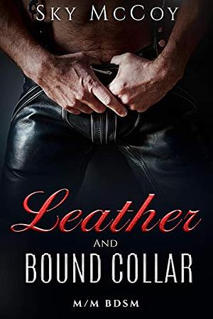 Leather and Bound Collar by Sky McCoy