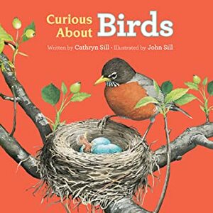 Curious about Birds by John Sill, Cathryn Sill