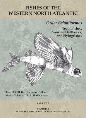 Order Beloniformes: Needlefishes, Sauries, Halfbeaks, and Flyingfishes: Part 10 by Nicolay V. Parin, Bruce B. Collette, Katherine E. Bemis