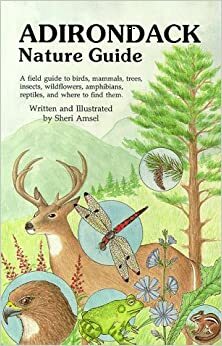 The Adirondack Nature Guide: A Field Guide by Sheri Amsel