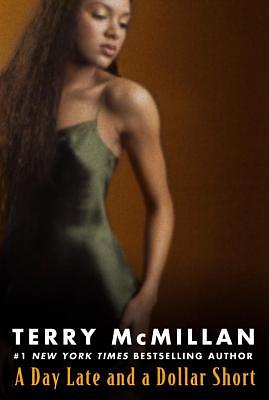 A Day Late and a Dollar Short by Terry McMillian