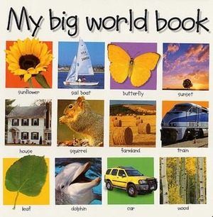My Big World Book by Roger Priddy