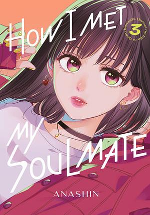 How I Met My Soulmate, Volume 3 by Anashin