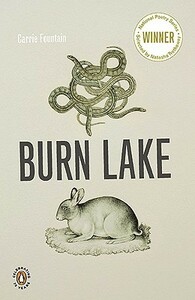 Burn Lake by Carrie Fountain