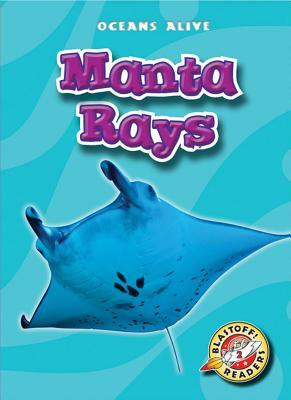 Manta Rays by Colleen Sexton