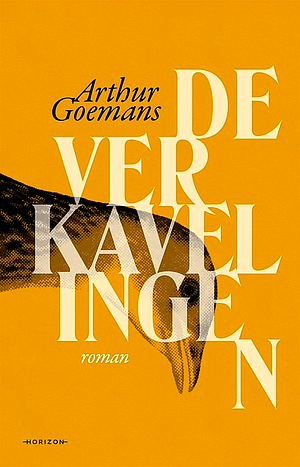 De verkavelingen: Roman by Arthur Goemans